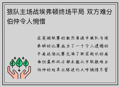 狼队主场战埃弗顿终场平局 双方难分伯仲令人惋惜